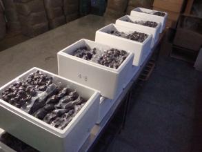 野生菌冷庫設(shè)計